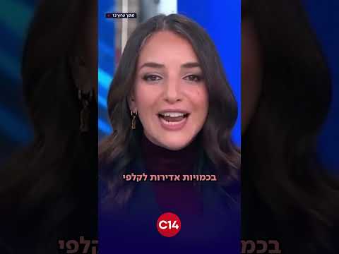"אנחנו רוצים להישאר בחיים אינשאללה": טל מאיר בתגובה חריפה ללוסי אהריש