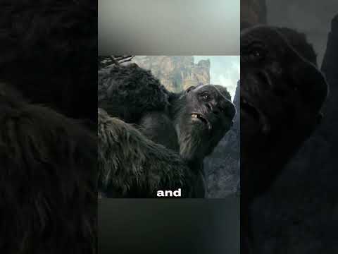 Since when did Suko trust King Kong?#shorts