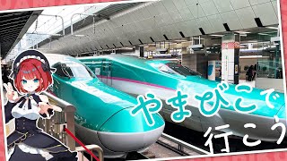 【降りたことないかも】#8 東北新幹線「やまびこ」の停車駅を新花巻駅から順番に見ていく【#地理好きVTuber / #学術系Vtuber】