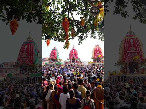 Thousand Of Devotees In front Three Chariots At Gundicha Temple #adapmandap #jagannath #rathyatra