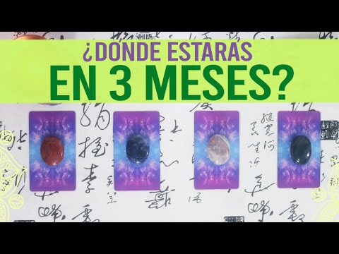 ¿Donde estarás en TRES MESES? - Tarot interactivo 🔮✨