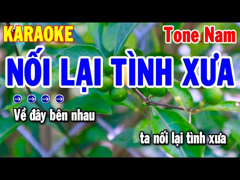 Nối Lại Tình Xưa Karaoke Tone Nam Nhạc Sống Cha Cha Hay 2024 | Thanh Hải Karaoke