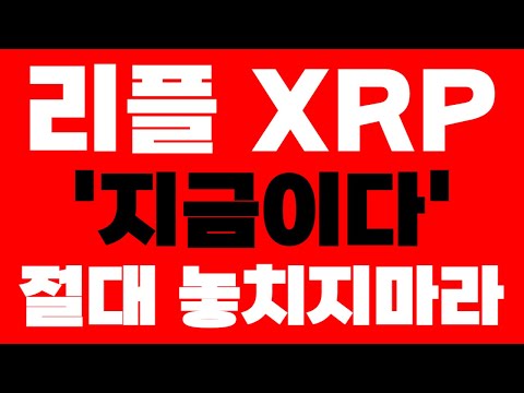 [리플 XRP] 긴급속보 '지금이다' 절대 놓치지마라