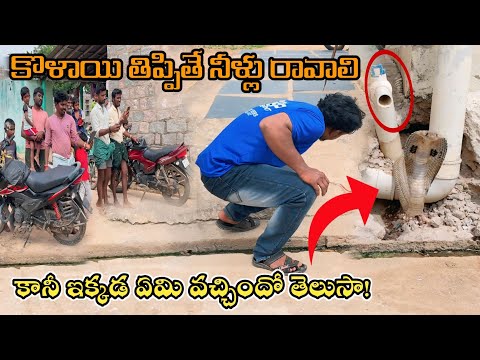 Indian spectacled venomous bigsize cobra snake rescue Ganjahalli village lo {9966333589