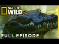 Florida Wildlife and Ecosystem Challenges