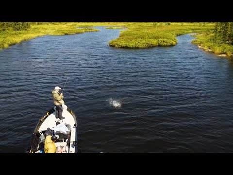 Fly-In Canadian Fishing | Arctic Lodge Northern Saskatchewan