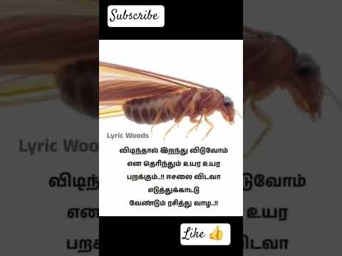#உண்மை#பார்த்ததில்#பிடித்தது#