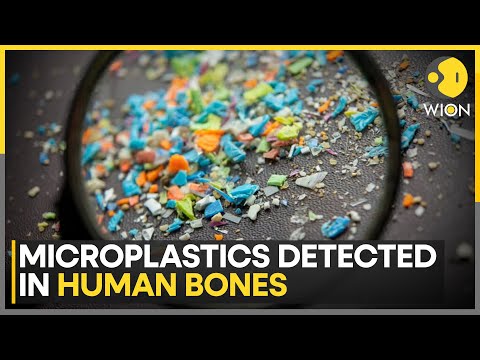 Microplastics Discovery Deep Inside Human Bones Sends Alarm Bells Ringing | WION