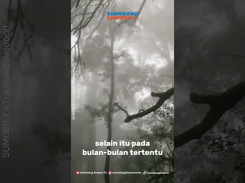 Kisah Mistis di Gunung Salak #hororfiksi