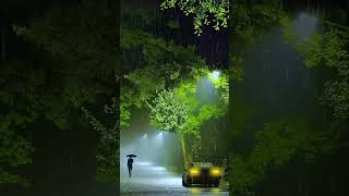 Heavy rain sounds for sleeping 💐🌹🍂🌷🌸 | Rainstrom and thunder ⛈️🌩️| @relaxinglife705