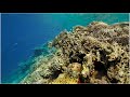 Coral Reef Conservation Challenges