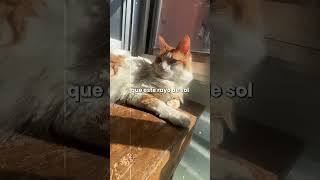 MICHIREFLEXION - LA GRATITUD