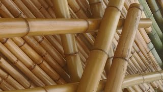Regardez ce que j'ai fait avec des bâtons de roseau/فكرة رهيبة من القصب