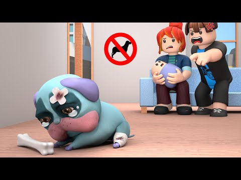 The Poor Dog | Roblox Brookhaven 🏡RP | Roblox Animation