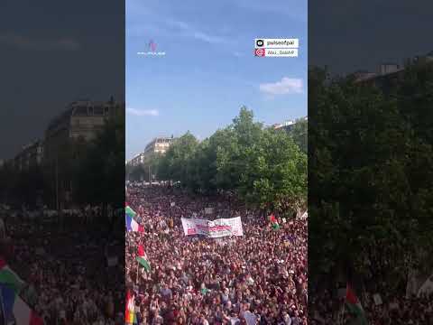 Paris rises after Israel's arrests Freedom Flotilla activists