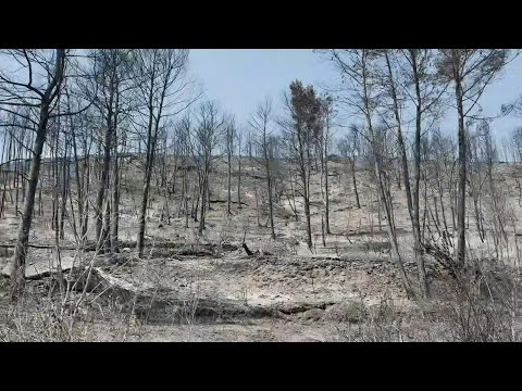 Fire in southwestern France leaves villages surrounded by charred vegetation | AFP