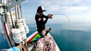 GANAS TARIKAN IKAN INI SAMPAI DI BAWA KELILING KAPAL LANGSUNG MASAK DAN MAKAN - DAY 1 PART 1