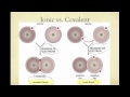 Chemical Bonding Concepts and Types