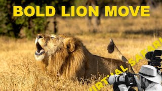 Leopard Tensions & a Bold Lion Move | Virtual Safari #278 🐆🦁