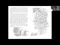 Mr. Fox's Clever Strategies