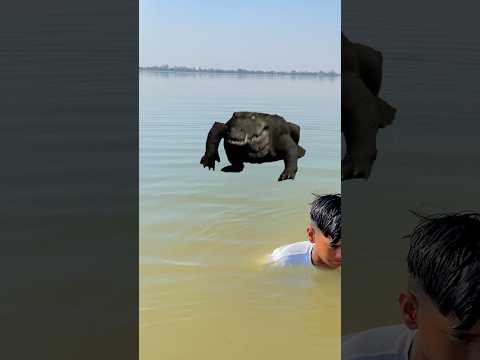 जय भोलेनाथ🙏🚩 भोलेनाथ जी और एक भक्ति कहानी ek Bhakt ko  Magar Machane Kalia😭🐊#shortvideo 🙏