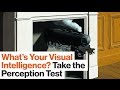 Visual Intelligence and Pertinent Negatives