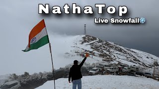 Nathatop Live Heavy Snowfall ❄️||Patnitop Heavy Snowfall ❄️2026