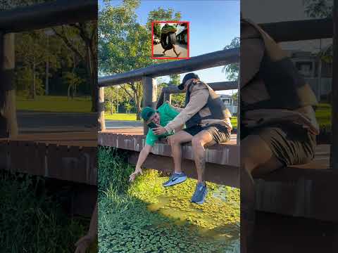 SE NÃO ACERTAR O BRAIN ROT, CAI NA ÁGUA! Tralalelo tralalá #brainrot #brainrotshorts #shortsviral