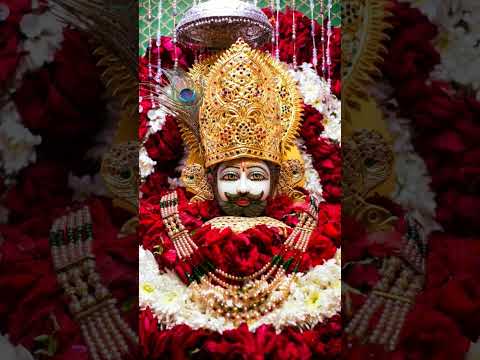 इंसान के जीवन #youtubeshorts #shortsvideo #youtubeshorts #ytshorts shyam radhe Krishna song