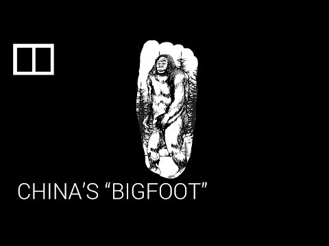China's "Bigfoot", the Yeren
