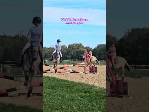 Vous trouvez ou pas? #equestrian #cheval #equitation #horse #horseriding