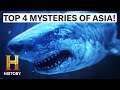 Understanding Lightning, Ocean Mysteries, and Unusual Creatures