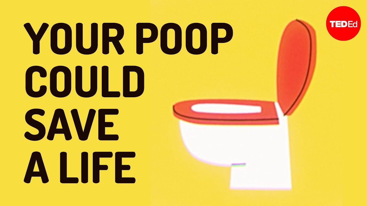 What is a poop transplant, and how does it work? - Kathryn M. Stephenson and David L. Suskind