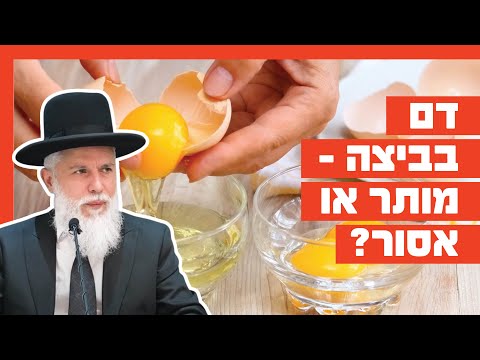 הרב זמיר כהן - דם ביצה, מותר או אסור?