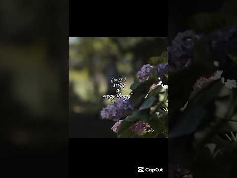 "goody two shoes" (ep. 13) "sorry is many things" || #annewithaneedit #pov #yn #edit #shorts