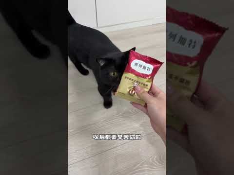 【#一只黑糖啵啵】这开锁方式可以说是相当炸裂了! #黑猫#双11百大萌主#弗列加特鲜肉精准营养#淘宝真香好物