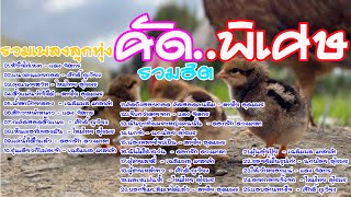 รวมเพลงลูกทุ่งคัดพิเศษเพลงเพราะ