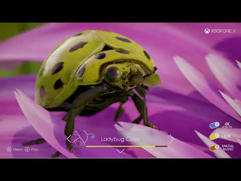 Introducing Insects, an Interactive Ultra HD, HDR Experience