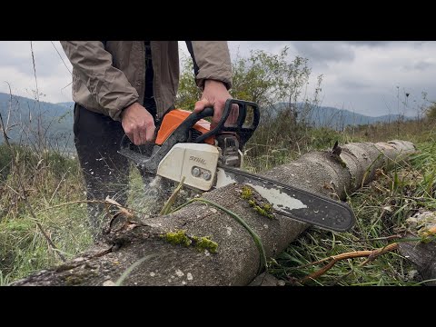 STIHL - MS 180 (2019) потужність роботи!