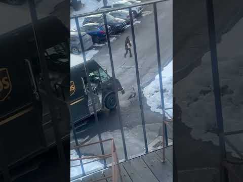 UPS Driver Chased by Wild Turkeys:  ‘I’m 40-Years-Old, I Can’t Deal With This!’ #shorts