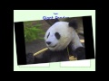 Integrating Information from Multiple Texts
