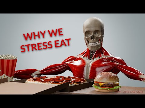 Why You Eat When You're Stressed
