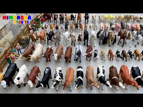 Coleccion de animales: familia de Caballos Yeguas Vacas Cerdos Terneros y mas ✨ Mimonona Stories