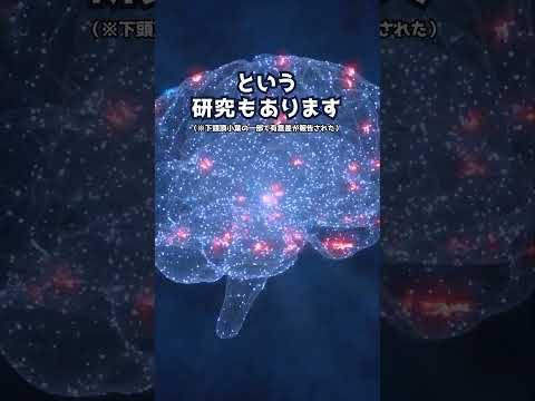 アインシュタインの脳は平均より小さかったのになぜ賢いの?