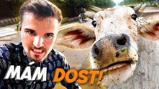 Den, kdy mě Indie tak vytočila, že jsem SNĚDL HOVĚZÍ (Indie #14)