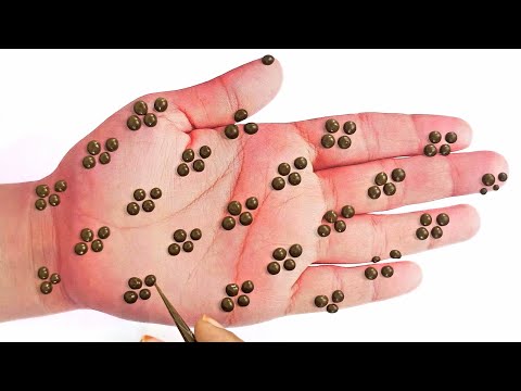 Latest Easy dotted Rakshabandhan Mehandi Design| Stylish Mehndi design| Simple mehndi | Henna design