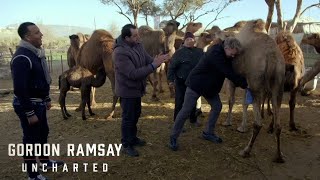 Gordon Tries His Hand at New Skills | Gordon Ramsay: Uncharted