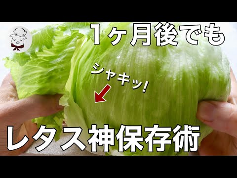 その保存方法間違ってない？レタスは1カ月保存できます。しなびたレタスも即復活！
