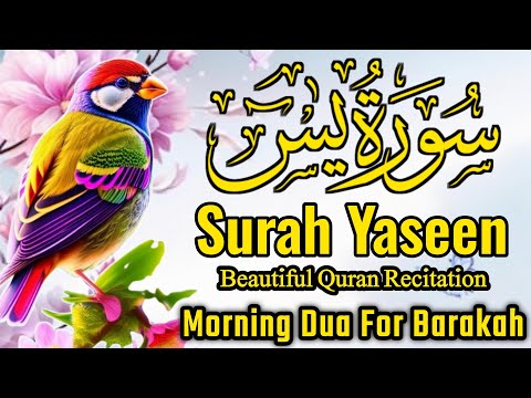 Surah Yasin (Yaseen) || سورہ یس 36 || Surah Yasin Full 7th Time || Morning Dua For Barakah || EP-028