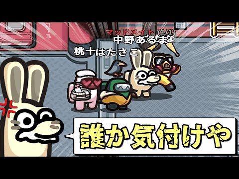 DLタスクを2回やってるのに、疑われないマッドメイト【AmongUs / 宇宙人狼】